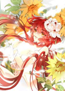 (咒回同人)無術式,但第四天災