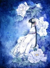 佛系追星日常