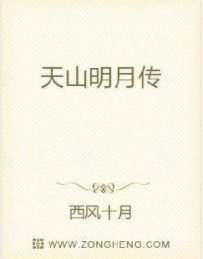 天山明月傳